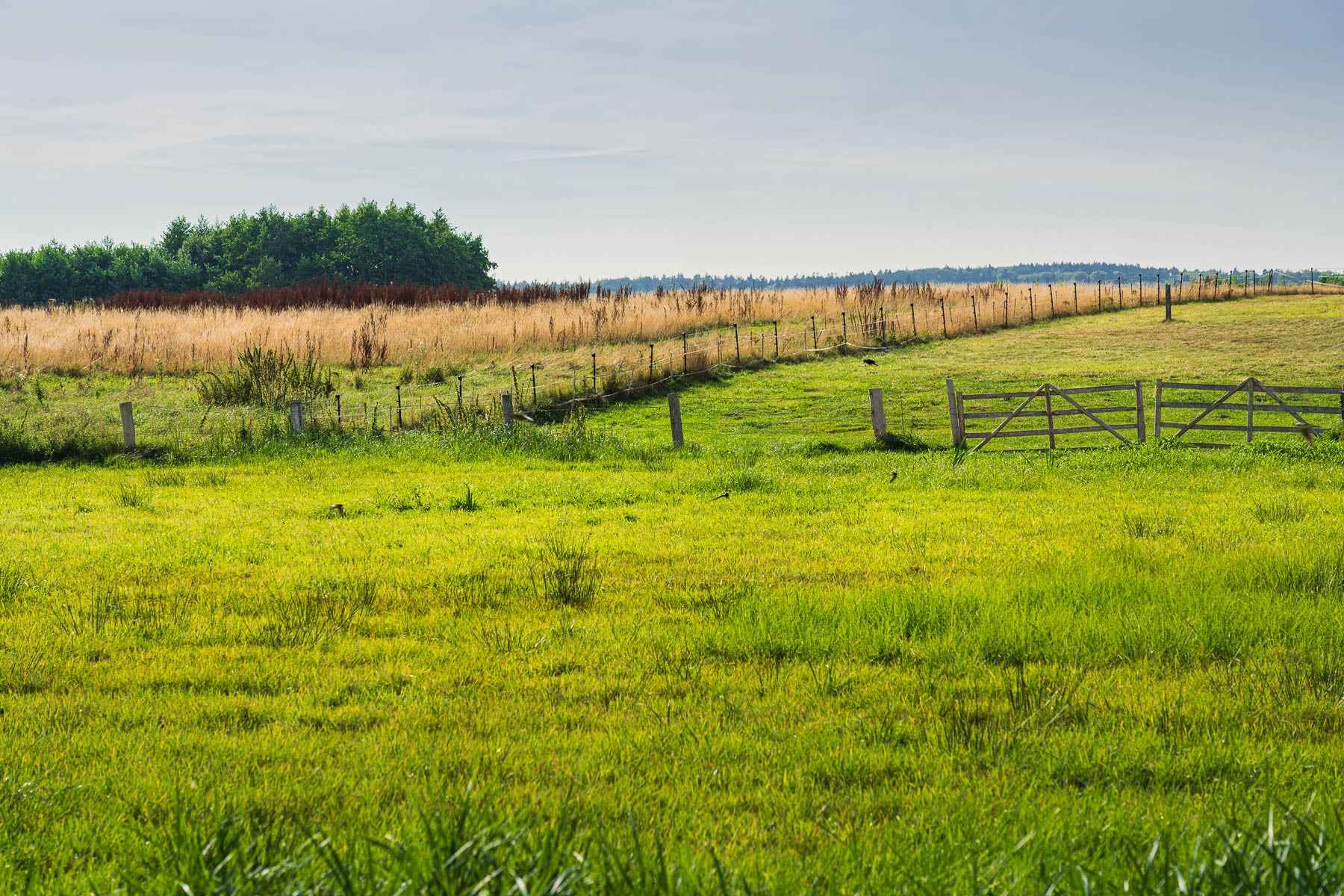 Landlige omgivelser