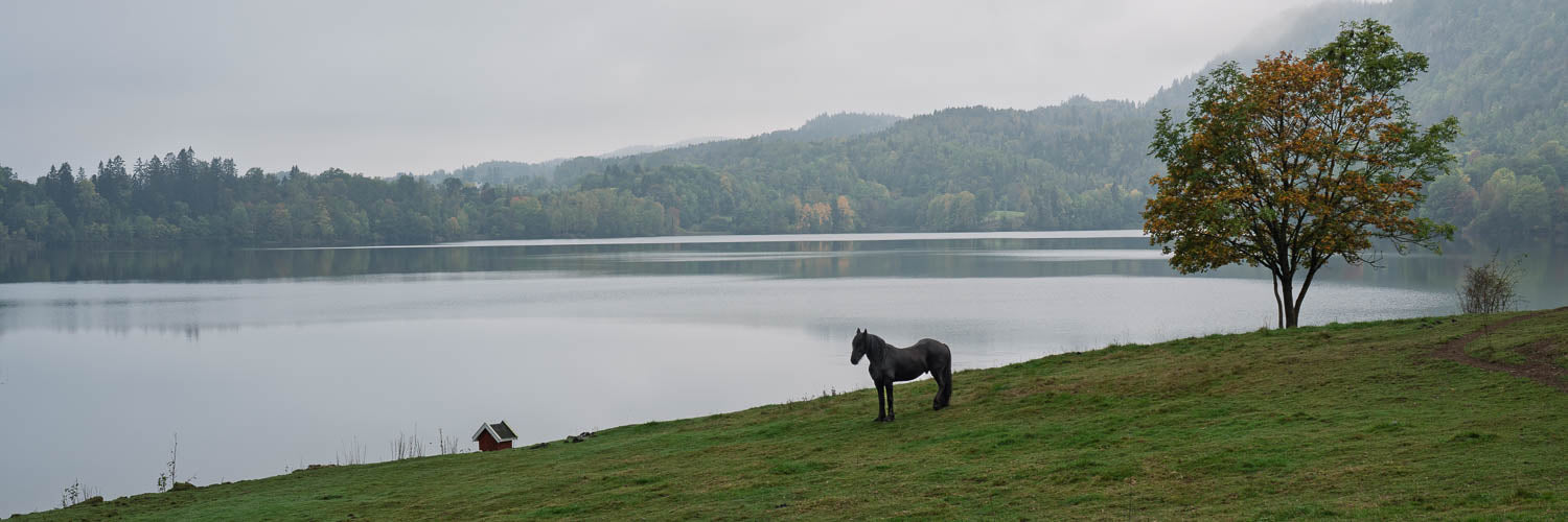 Idyll ved Semsvannet