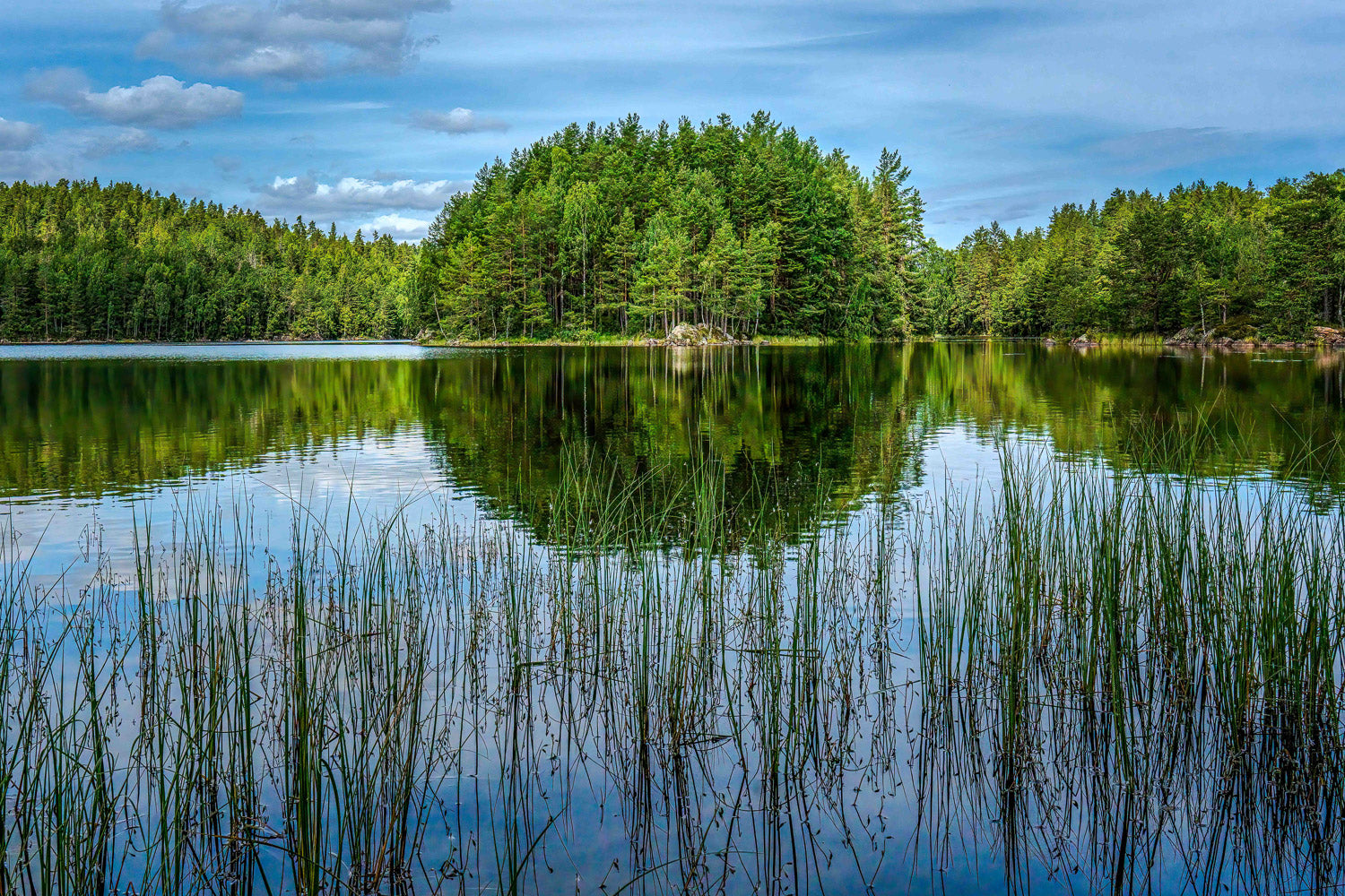 Mørkvannet