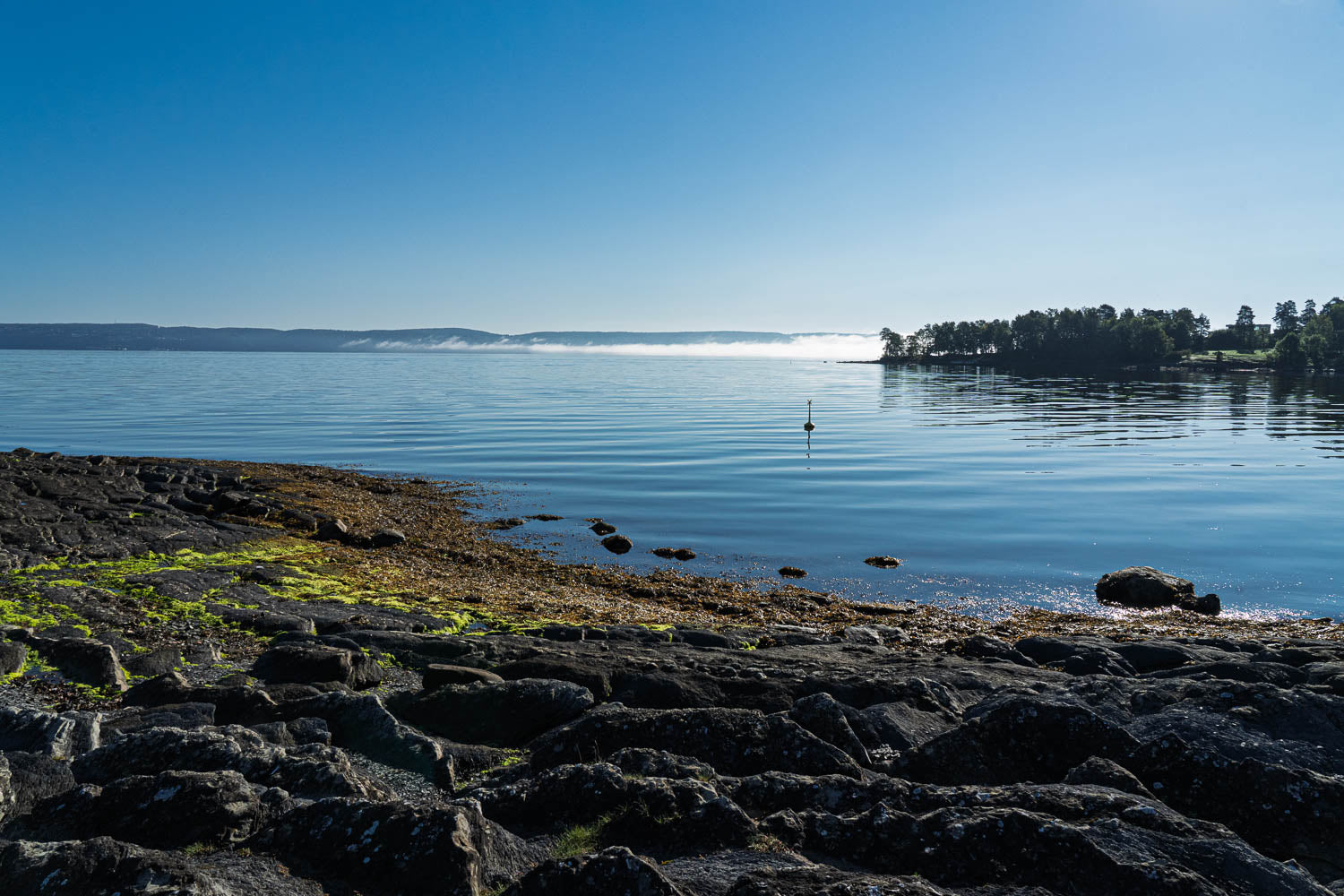 Oslofjorden i morgendis