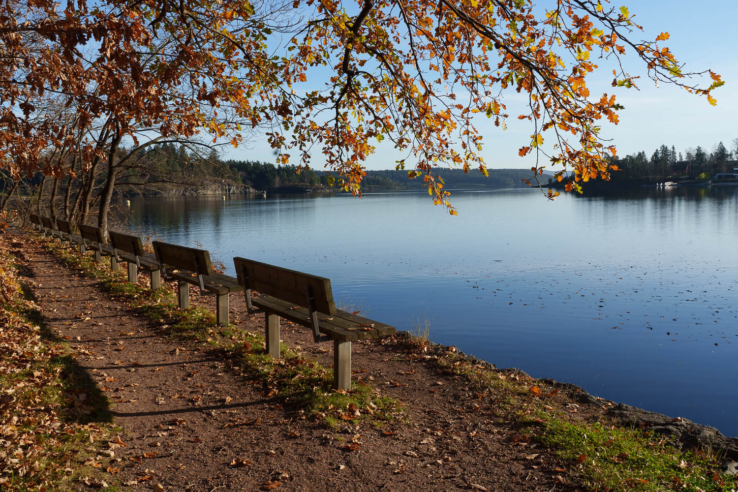 På rekke og rad