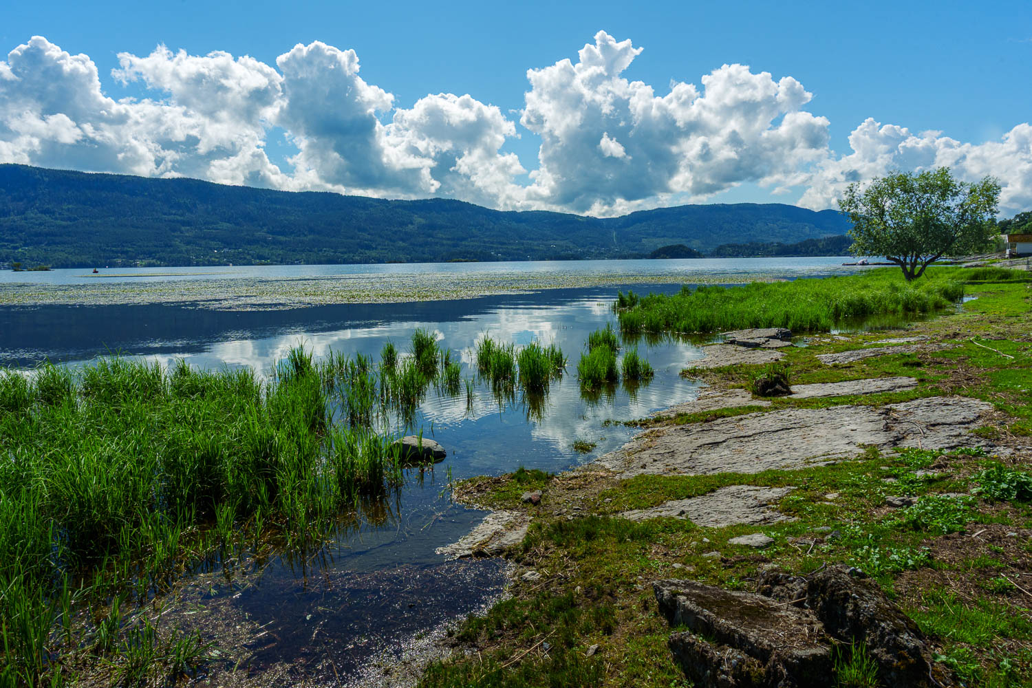 Tyrifjorden - Stein i Hole